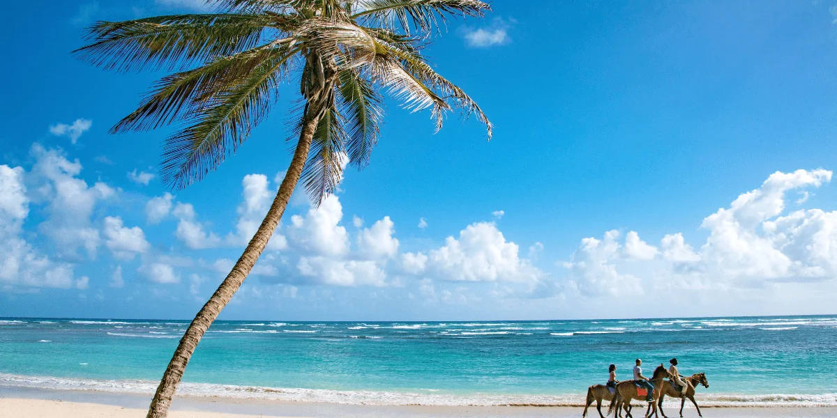 Barbados 4-min.webp